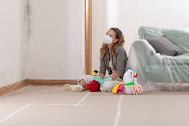 Reliable Mold Removal contractor in Monrovia, MD by WQB Mold Removal